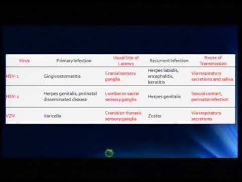 Lecture 14:DNA Enveloped Viruses -1