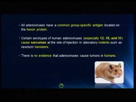 Lecture 18: DNA Non - Enveloped Viruses - 1