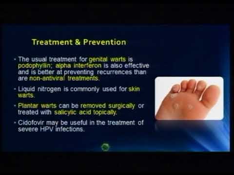 Lecture 19: DNA Non - Enveloped Viruses - 2