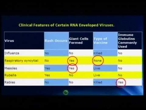 Lecture 20: RNA Enveloped Viruses - 1