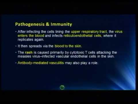 Lecture 22: RNA Enveloped Viruses - 3