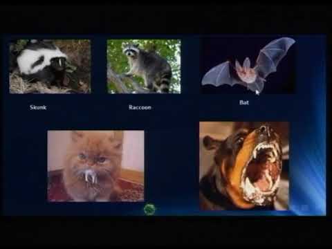 Lecture 25: RNA Enveloped Viruses - 6