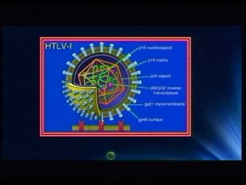 Lecture 26: RNA Enveloped Viruses - 7